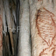 Illustration for article titled These Are the Earliest Human Paintings Ever